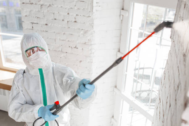 Best Mold Odor Removal Services  in Danville, AR